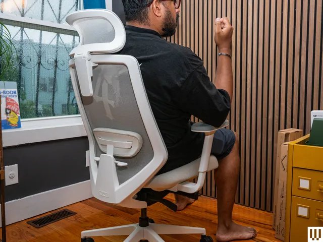 1-Branch2520Ergonomic2520Chair2520Pro2520SOURCE2520Julian2520Chokkattu.png