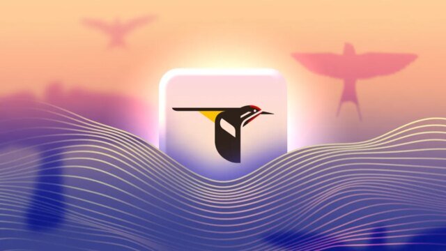 bird-id-app.jpg