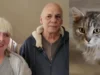 Família impactada pelo furacão Helene se reencontra com gato após mais de 400 dias separados