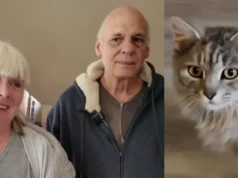 Família impactada pelo furacão Helene se reencontra com gato após mais de 400 dias separados