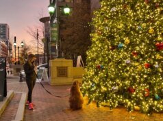 A noite mais longa: um breve guia para o solstício de inverno