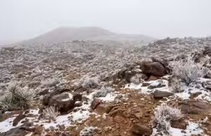 Arábia Saudita registra rara nevasca em Tabuk e Hail enquanto vídeos se tornam virais