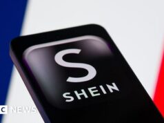 Tribunal francês rejeita suspensão do website Shein por causa de bonecas sexuais infantis