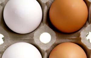 Seus dados podem determinar quanto você paga pelos ovos