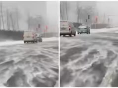 Assista: A nevasca de dezembro na China se torna viral em ruas cheias de globos de neve e pó rodopiante