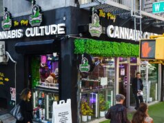 ALEX BERENSON: A ordem de Trump sobre a maconha promove uma mentira perigosa sobre as drogas