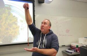 Este verme ficou esfriando em um laboratório por anos. Acontece que é um recordista