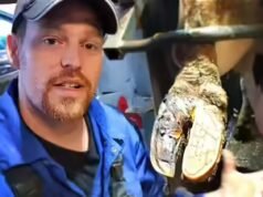 “Isso doeu seriamente”: a dolorosa provação que deixou o YouTuber The Hoof GP abalado e provavelmente sem trabalho pelo resto do ano