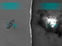 Os democratas revelam se acreditam que os cidadãos dos EUA ou os traficantes de drogas são mais importantes